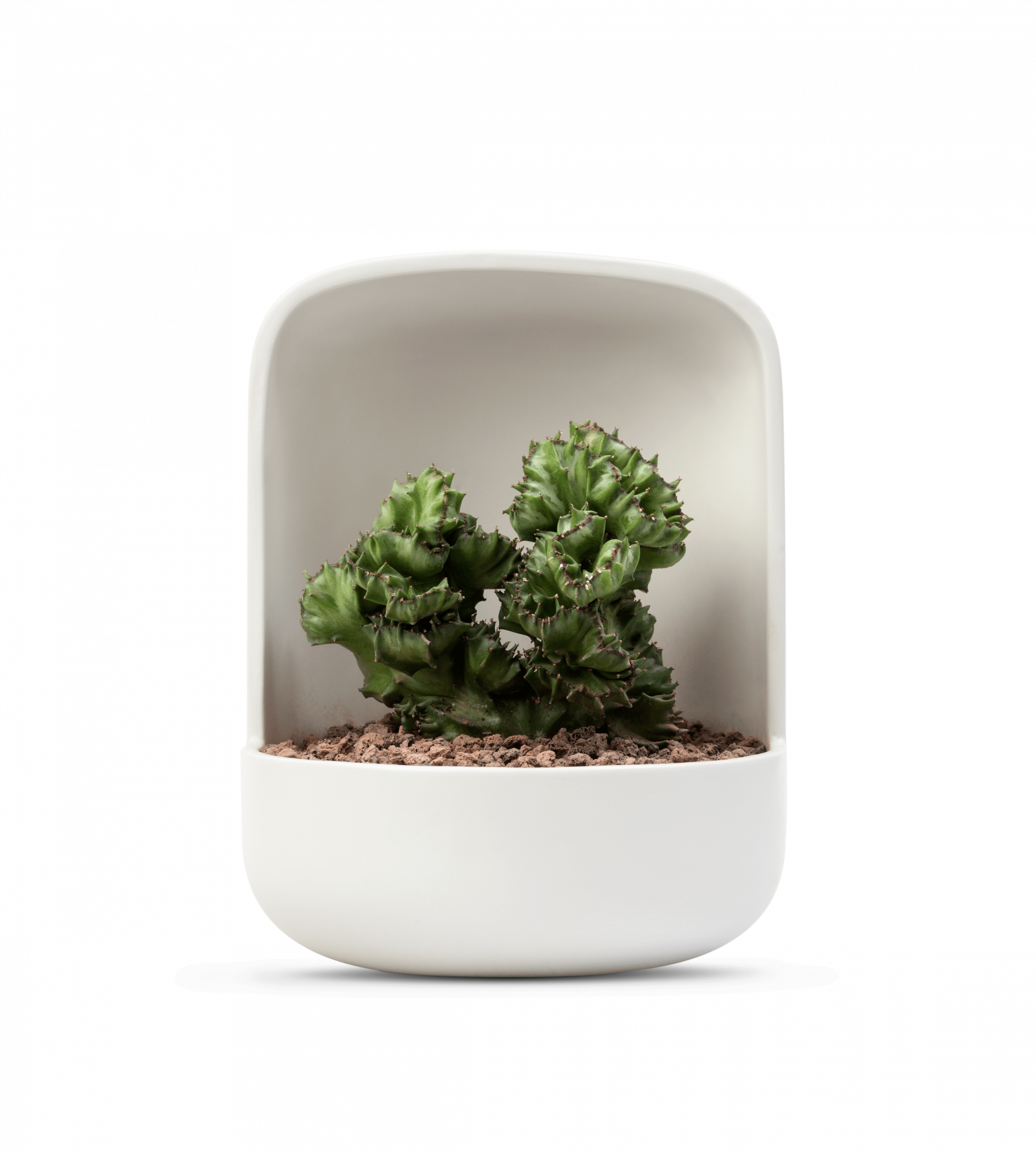 white ceramic plantpot