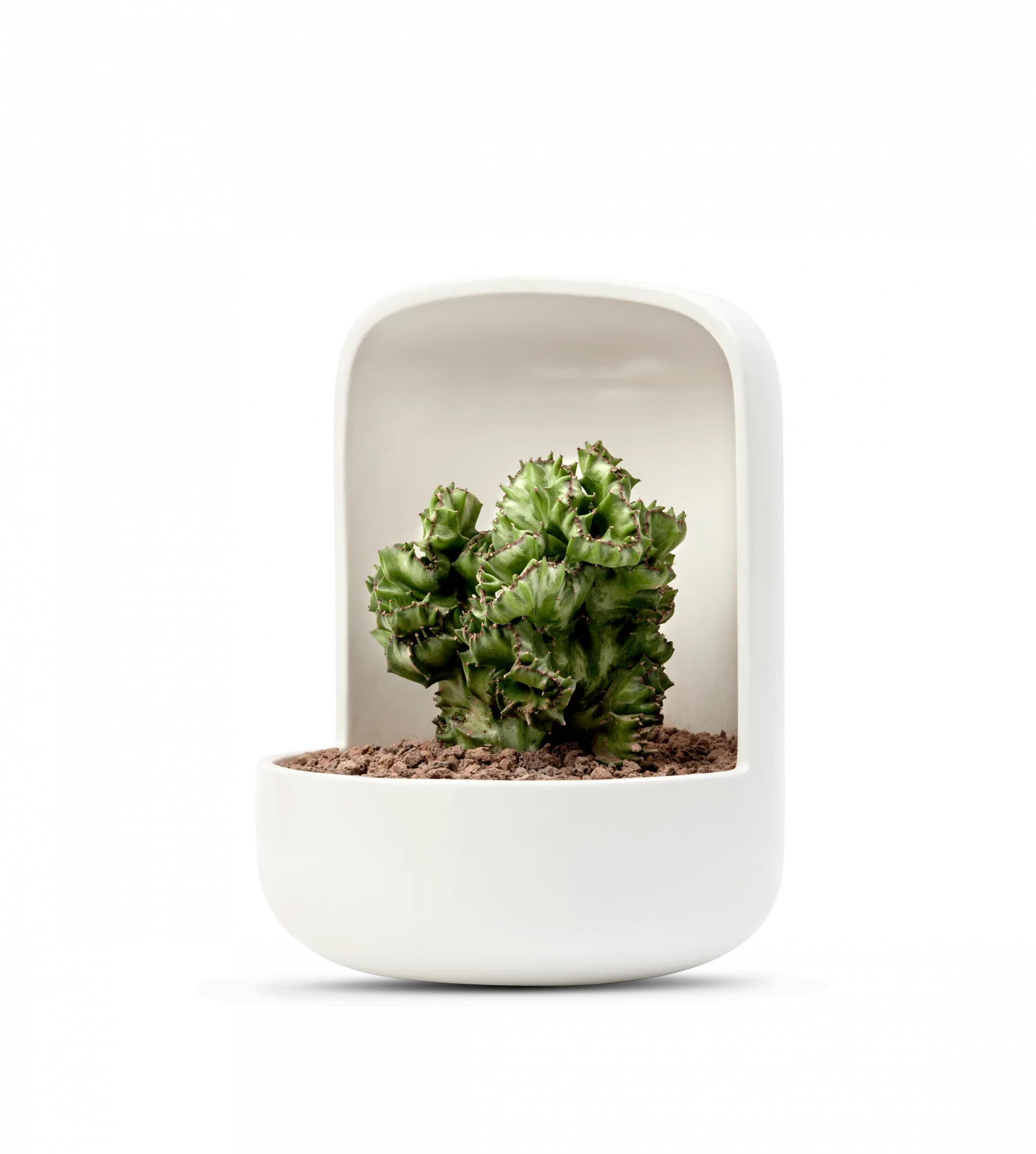 Ceramica plantas y diseno maceta design