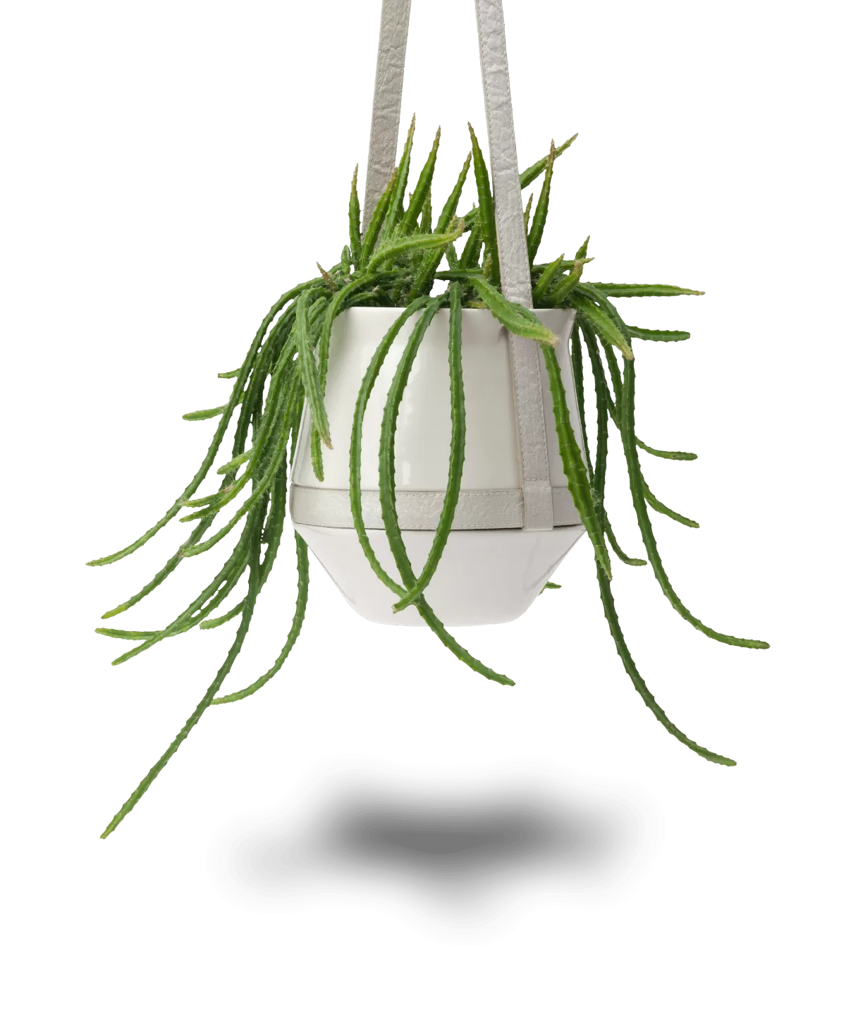 maceta colgante de diseño