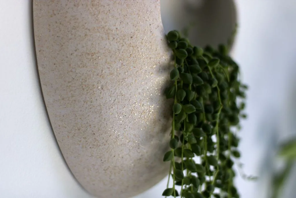 maceta de pared brillante