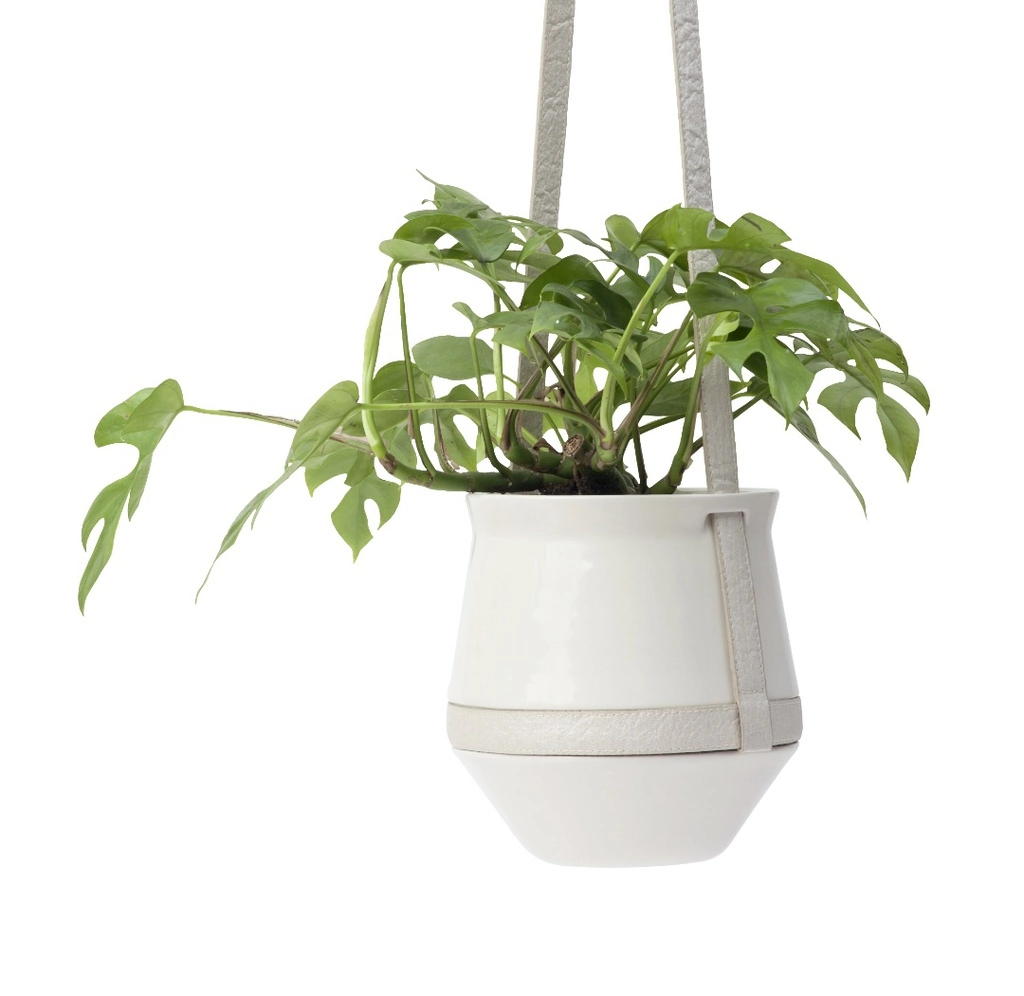 plantcloud-hanging-pot