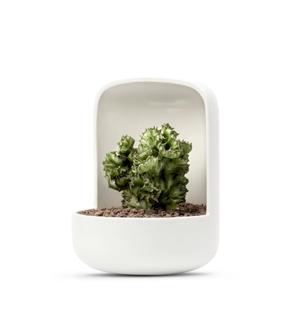 Design Plant pot by bas