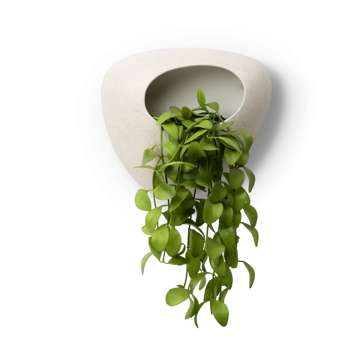 maceta para colgar en la pared