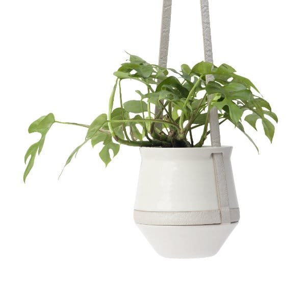 Hanging planter