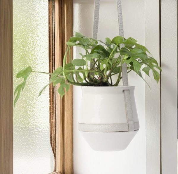 5732c787-10b4-496b-bb2f-fec07569d755