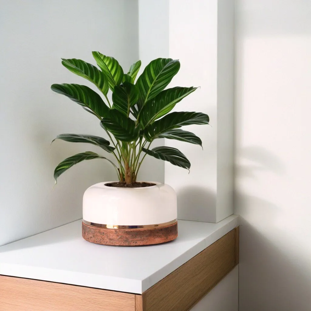 Stratum Maceta-elegante-ceramica-artesanal