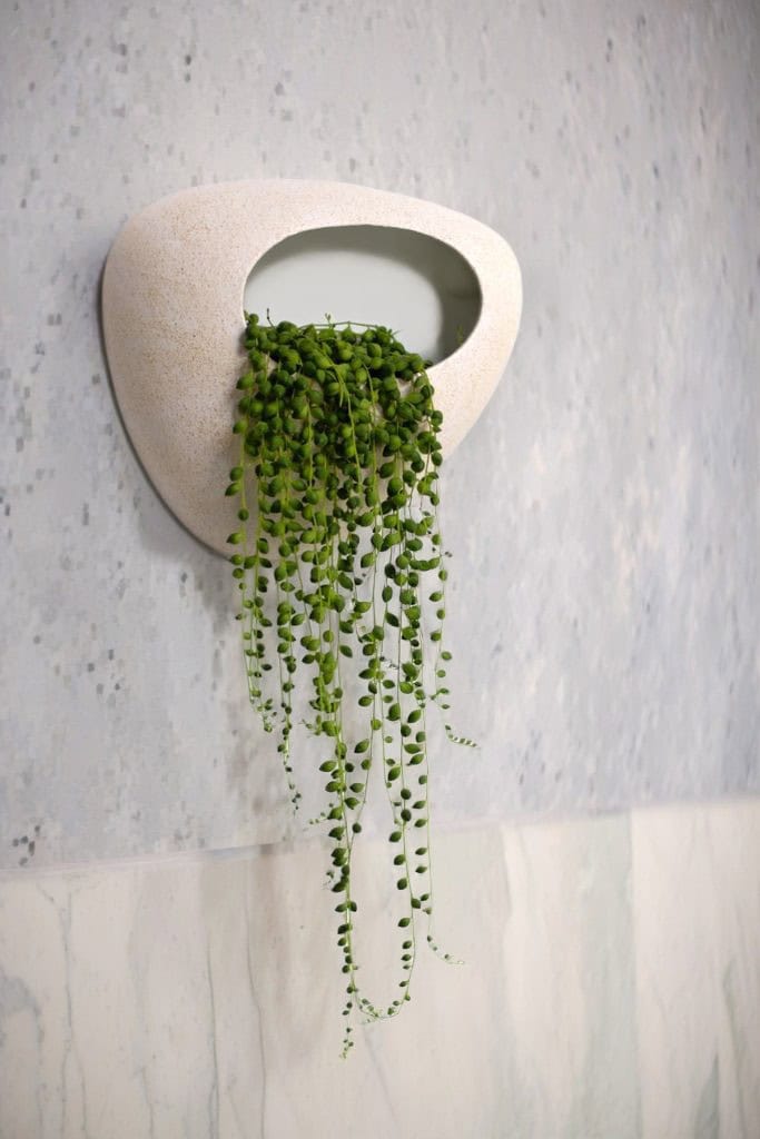 maceta ceramica pared artesanal bas